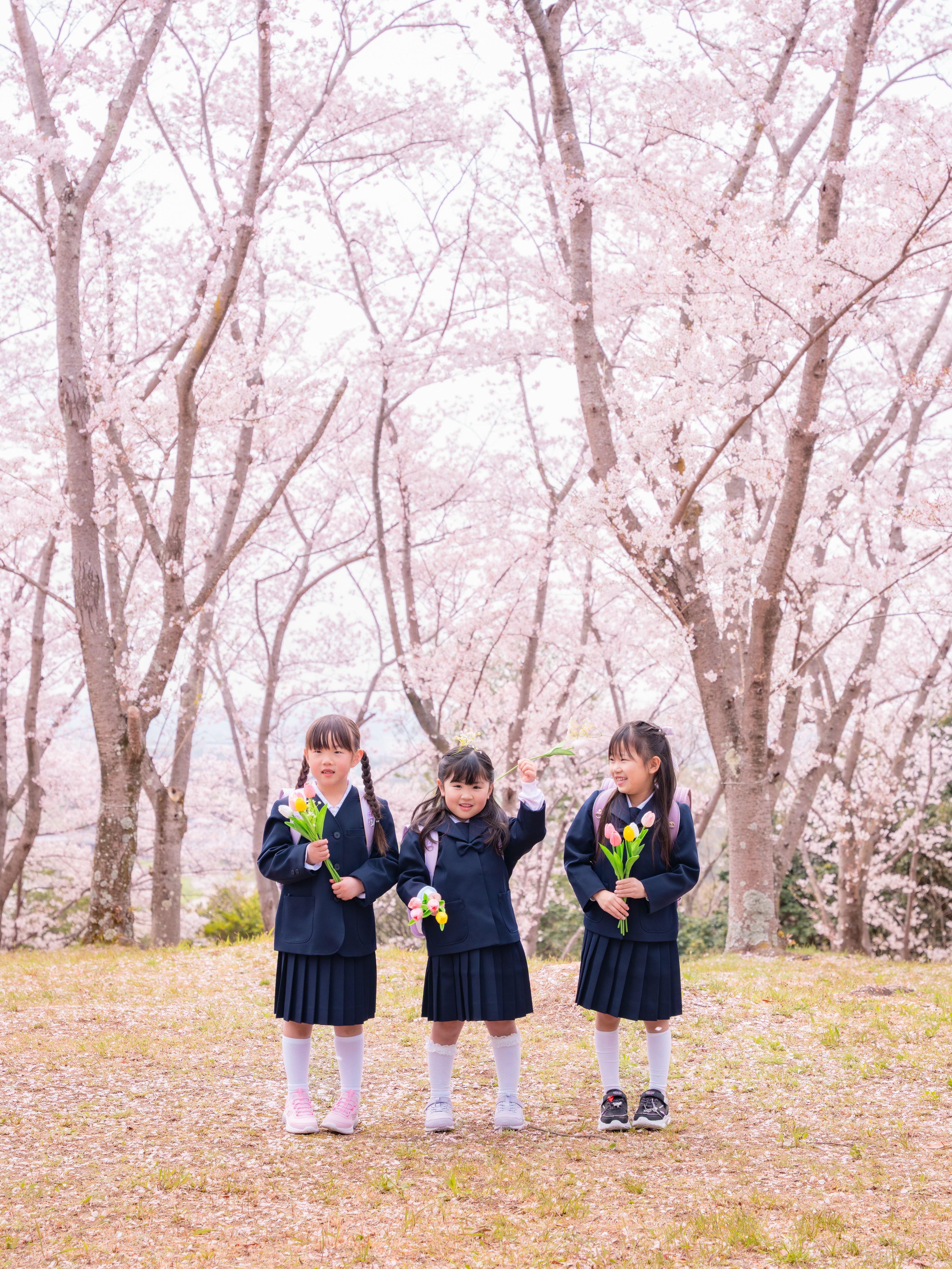 桜フォト