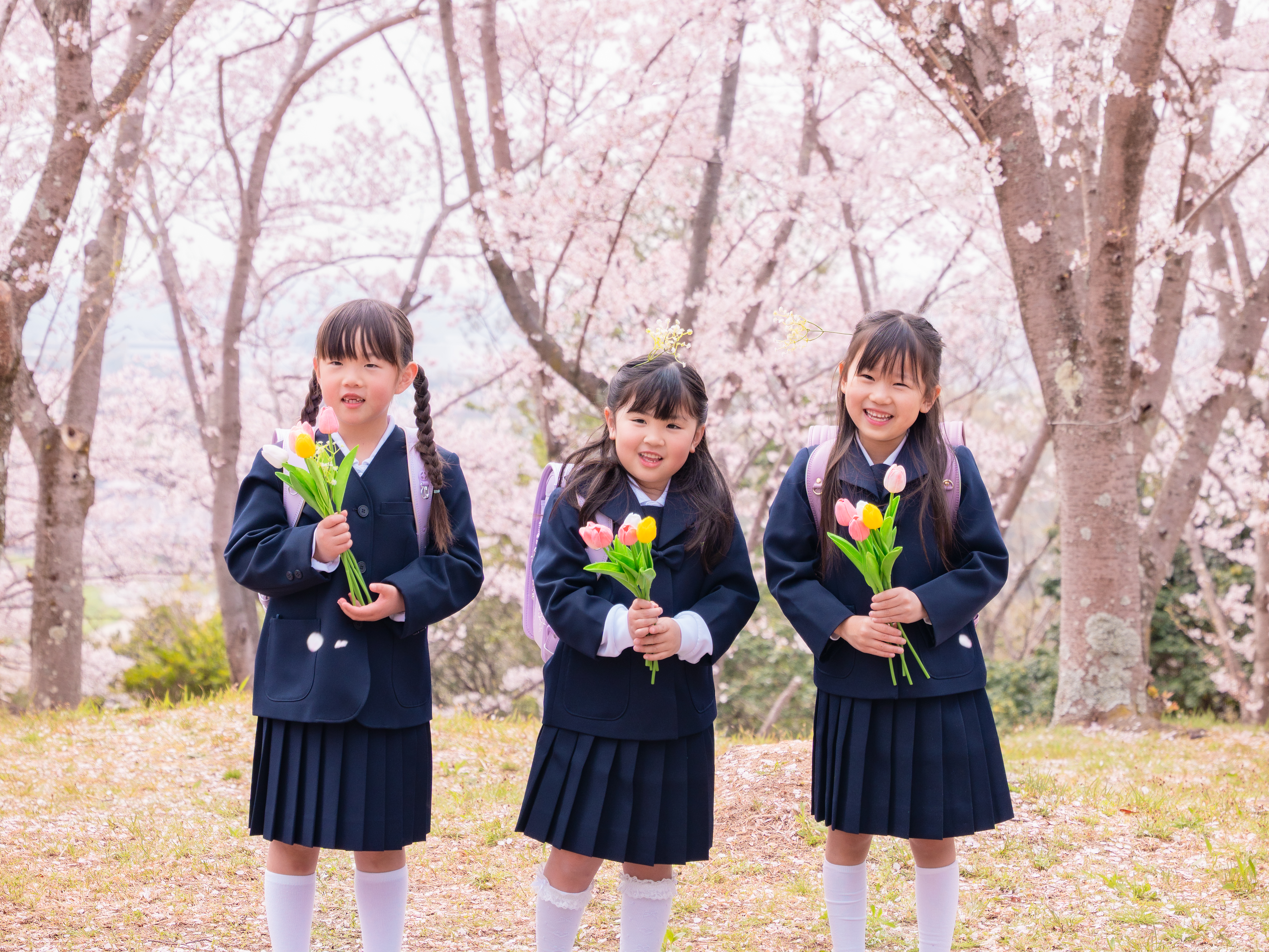 桜フォト