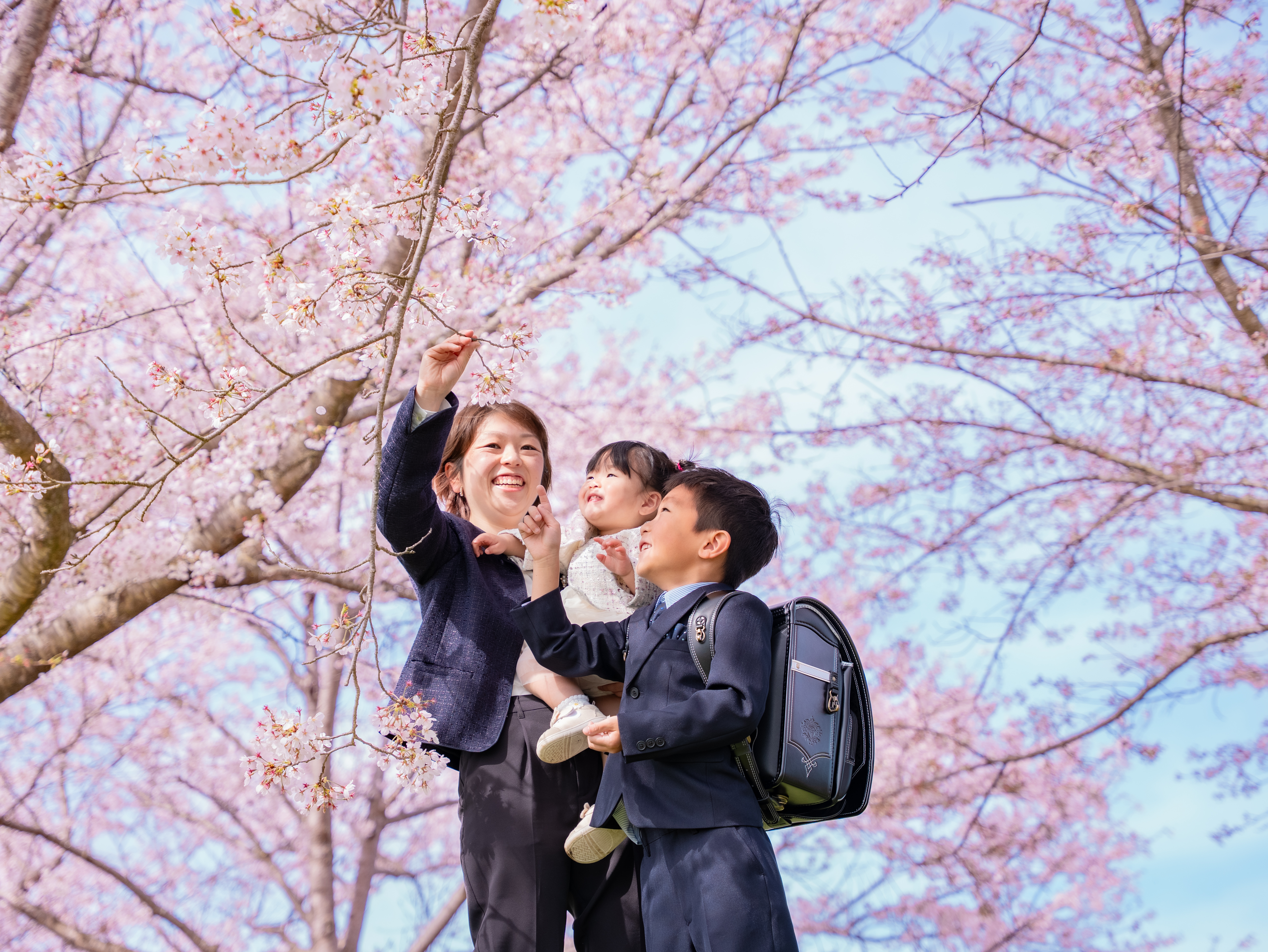 桜フォト