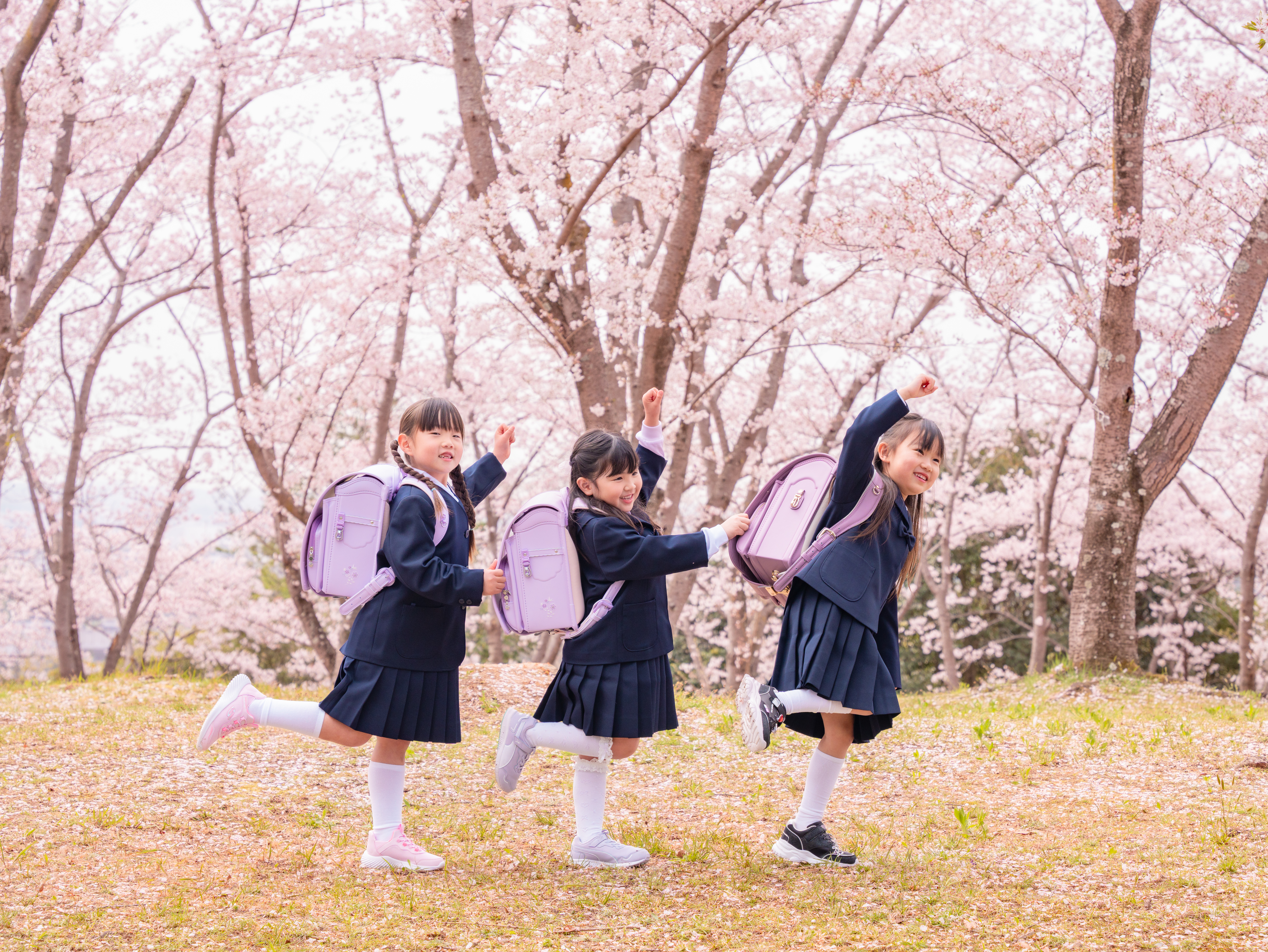 桜フォト