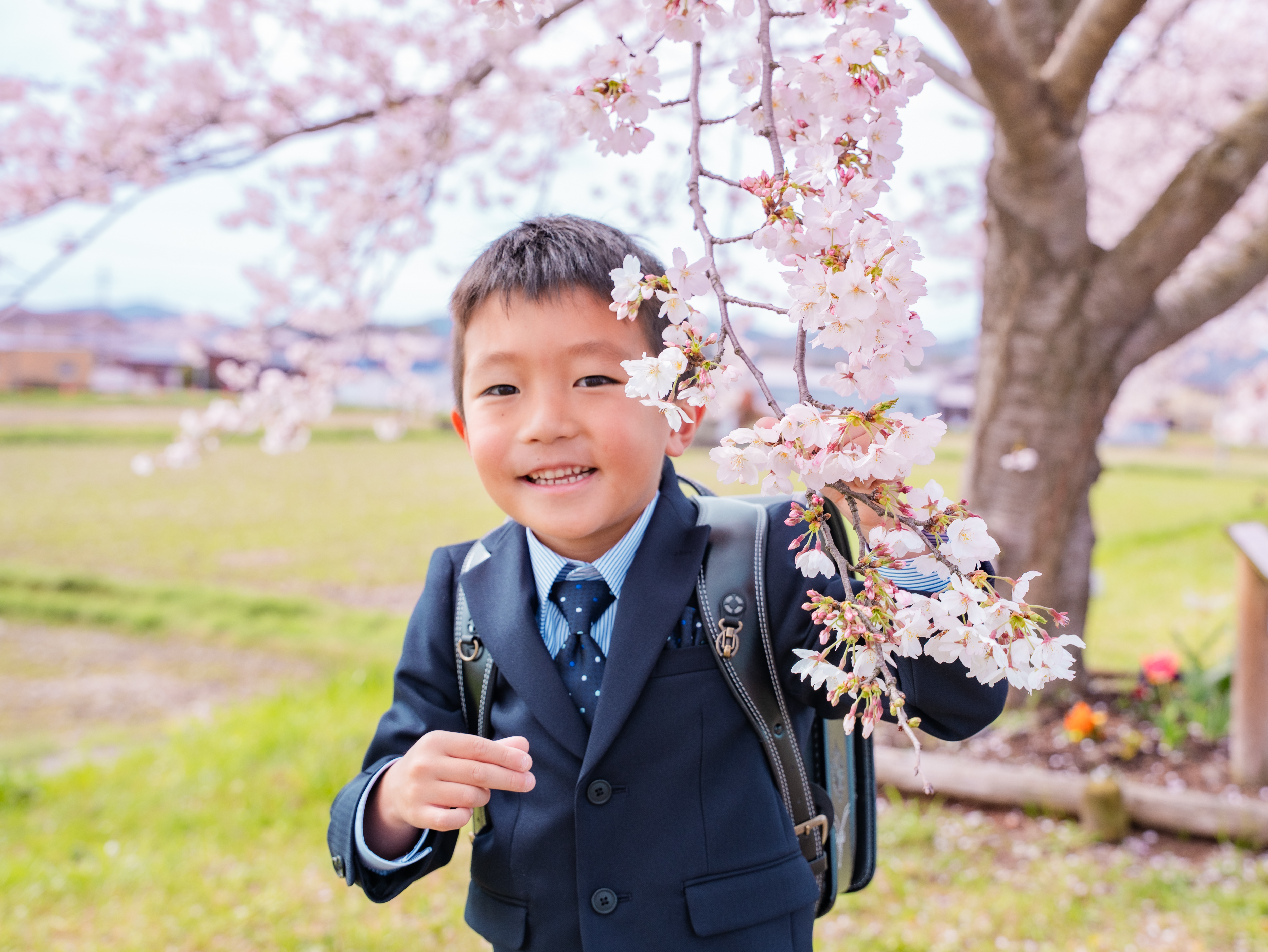桜フォト
