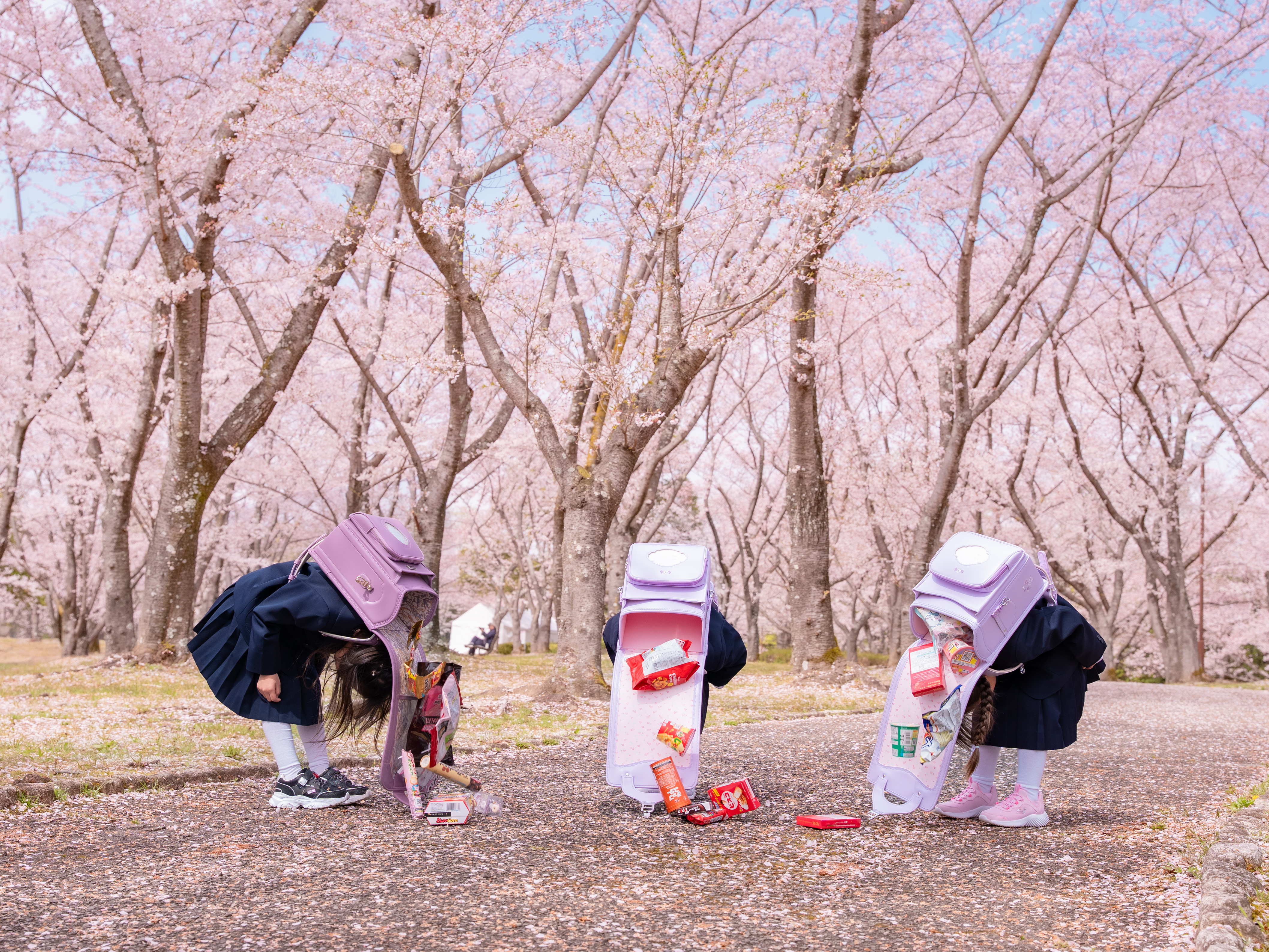 桜フォト