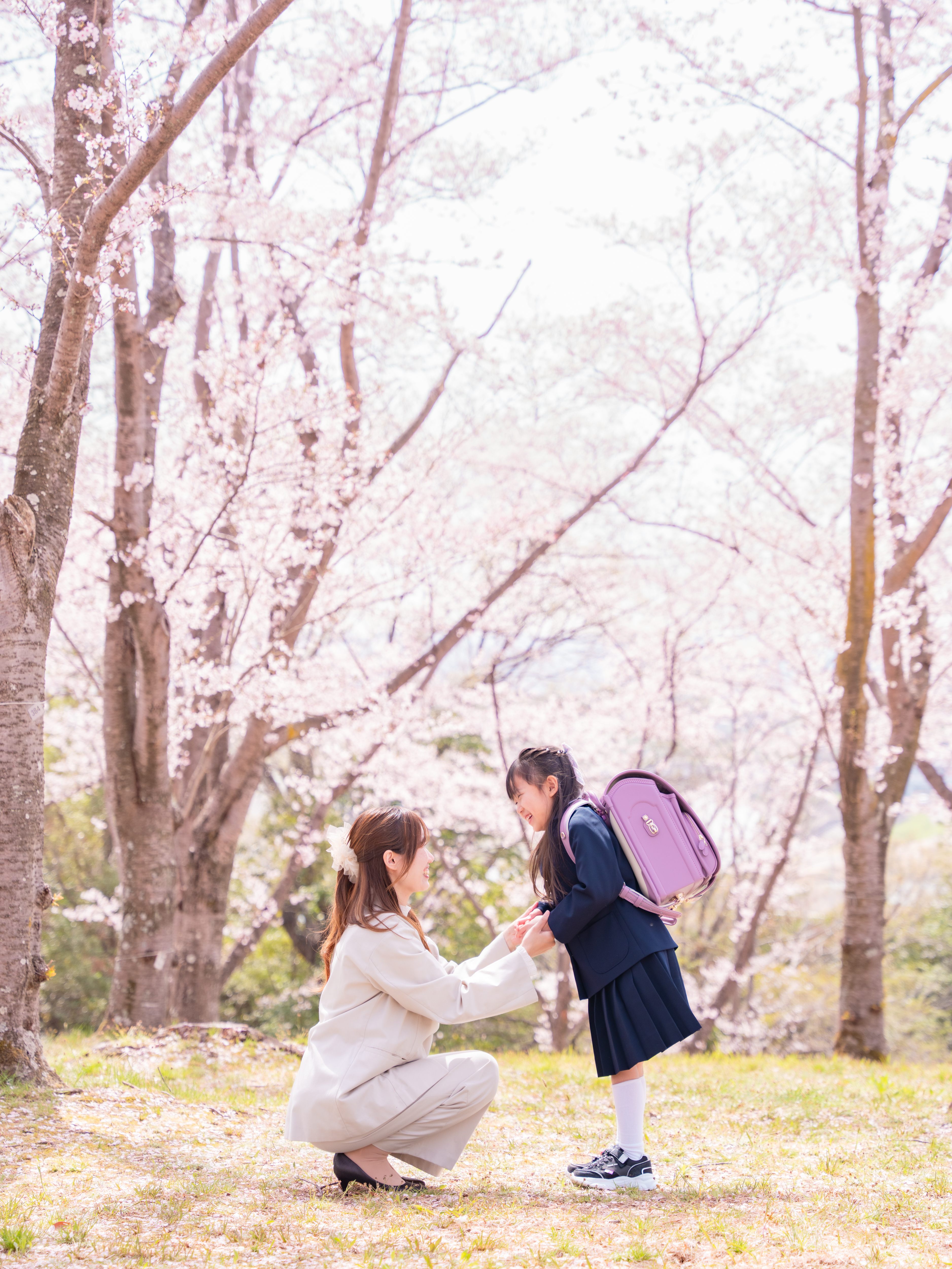 桜フォト