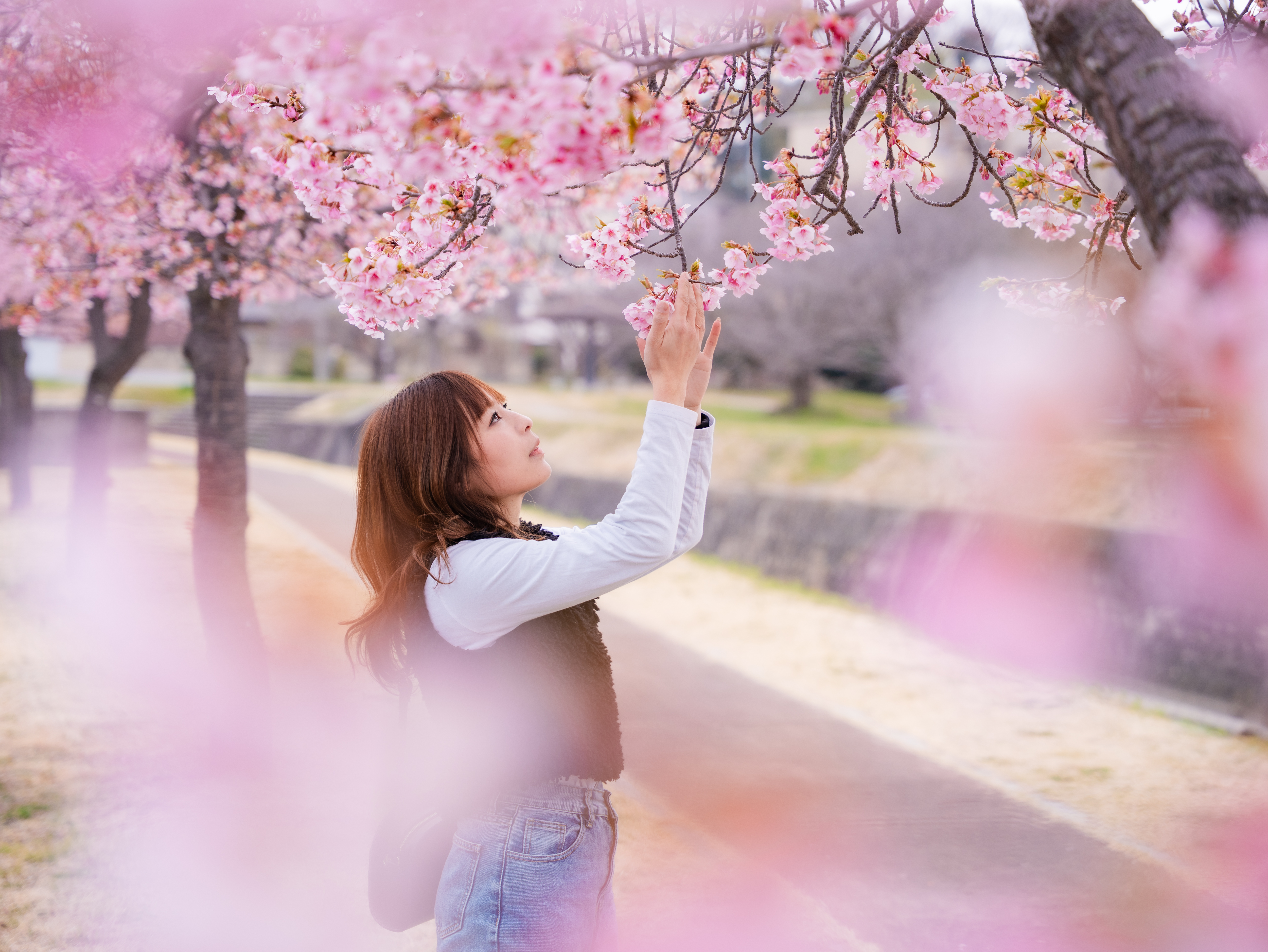 桜フォト