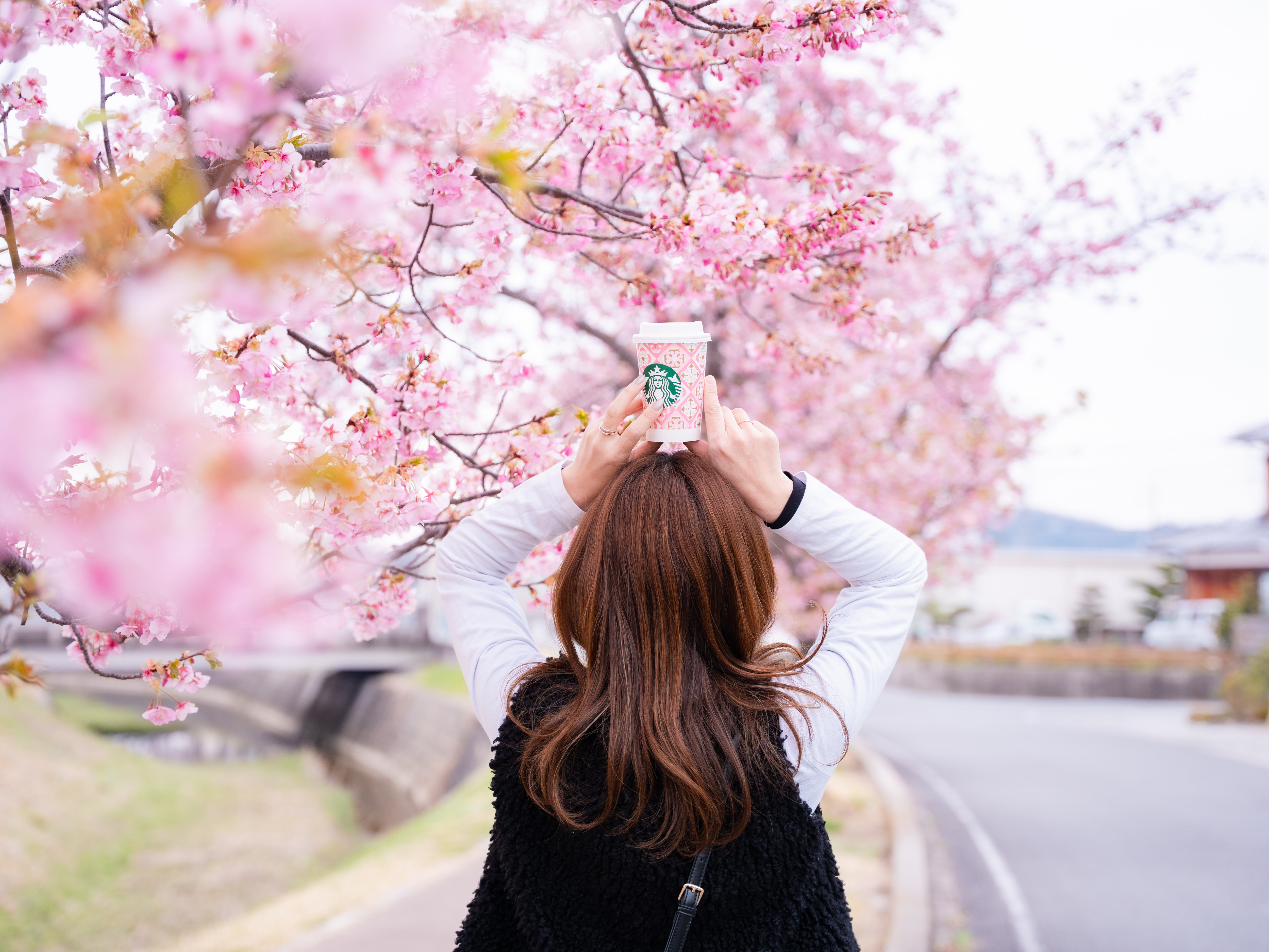 桜フォト